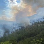 karabukte orman yangini cikti KulJyJ2L