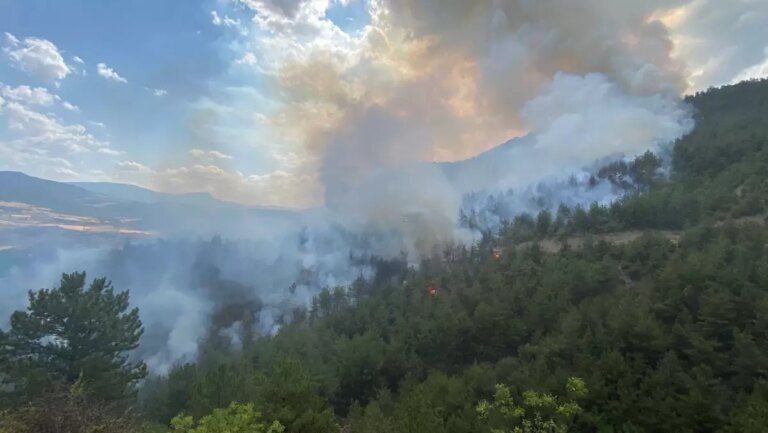 karabukte orman yangini cikti KulJyJ2L