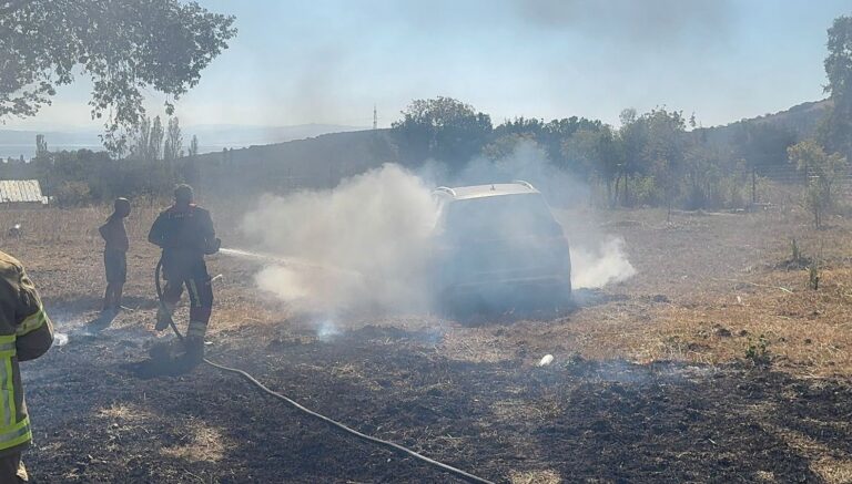 aniz yangini zeytin agaclari ile bir otomobile zarar verdi fk2izYjj