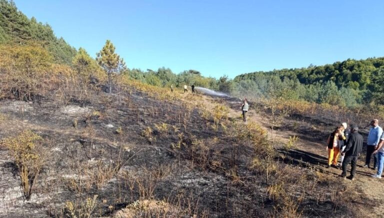 bilecikte orman yangini panigi R5Pk7vID