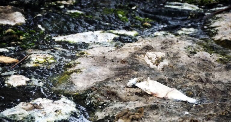 egenin can damari oluyor aqecI9ub