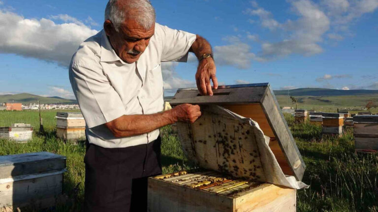 hasat sona erdi iyi haber geldi tam 450 ton bal uretildi xJxHMYct