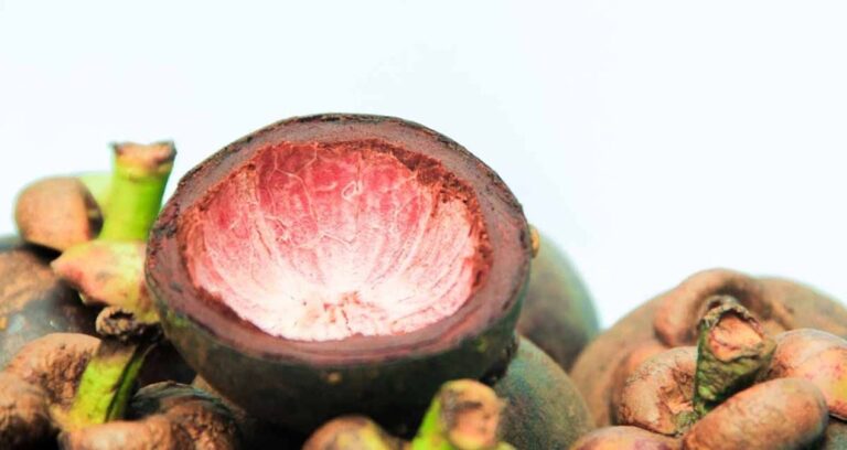 meyvelerin kralicesi namini tasiyor icinde adeta bir hazine sakliyor c vitamini folat manganez bakir vSQ5JARb