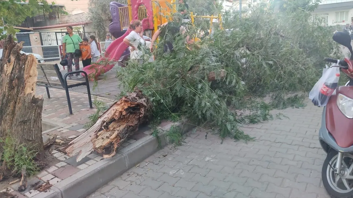 ruzgar devrilen agac altinda 2 kadin yaralandi 1HIQI5km