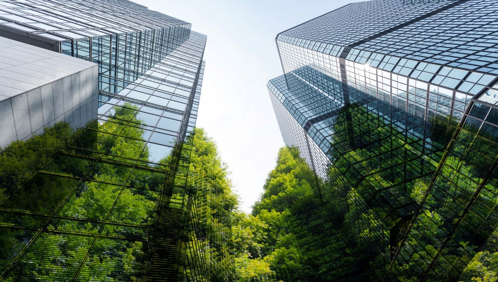 avrupanin dev kaybi her gun 600 futbol sahasi kadar yesil alan yItNCmCf