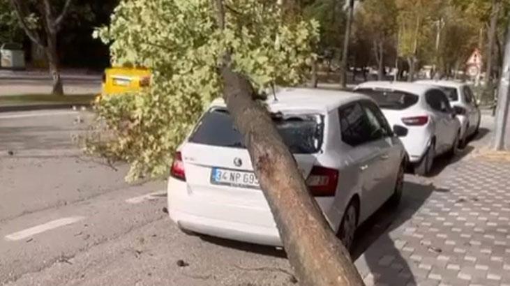 bursada kuvvetli lodos otomobilin uzerine agac devrildi vyp94VP2.jpg