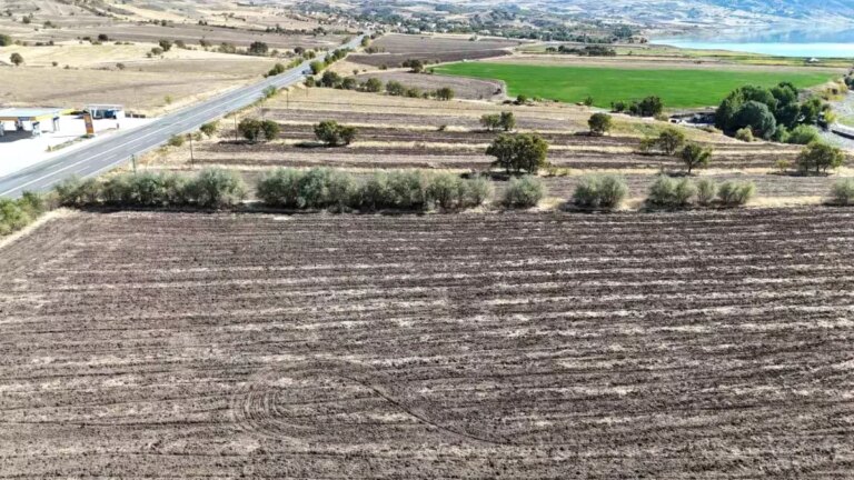 hava arslandan tuncelide seracilik hamlesi xsQJhak8.jpg