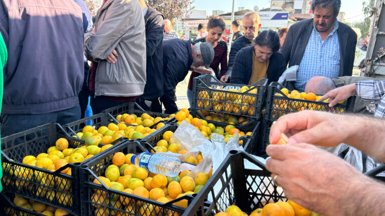 hatayda-ureticiler-alici-cikmayan-tonlarca-mandalinayi-ucretsiz-dagitti-L5uYfBKA.jpg