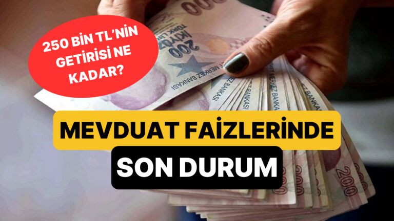mevduat-faizleri-yuzde-46ya-kadar-cikiyor-peki-250-bin-tlnin-aylik-getirisi-ne-kadar-fdc9AmD9.jpg