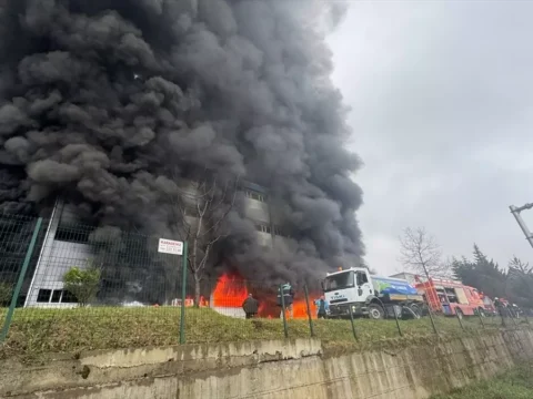 Arsin’deki Fındık Fabrikasında Yangın Çıktı