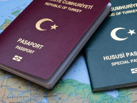 Almanya vize krizinde suçu Türkiye’ye attı: “Önce reformları yapın”