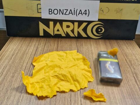 Manisa kula’da binlerce içimlik bonzai ele geçirildi! 6 kişi tutuklandı