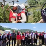Bursada organik maviyemis uretimi yayginlasiyor 1T6tBXfi
